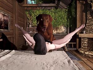 Dog fuck girl 3d